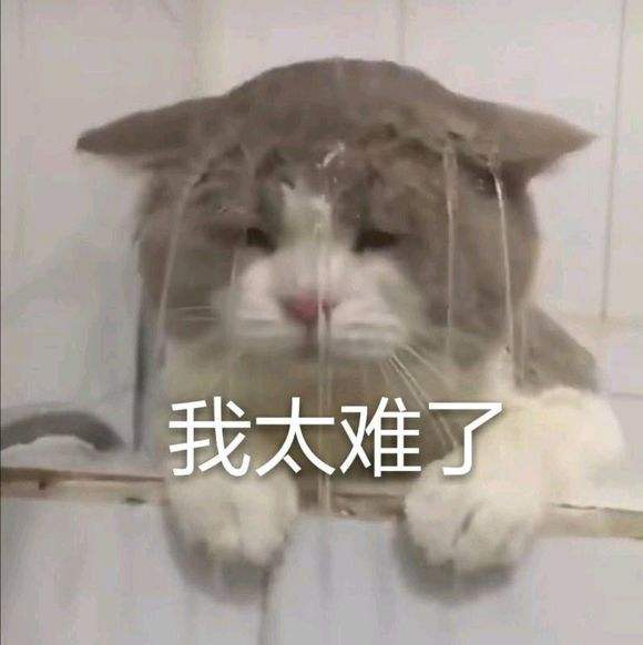 太难了.jpg